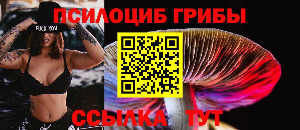 Псилоцибиновые грибы MAGIC MUSHROOMS Батайск