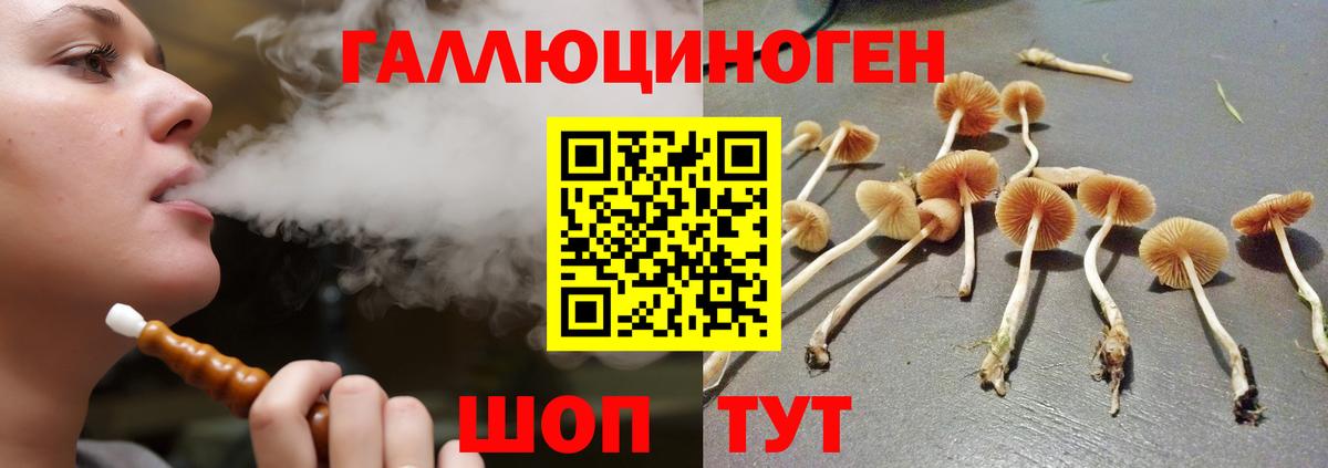 Батайск  Галлюциногенные грибы GOLDEN TEACHER  Вход с VPN 